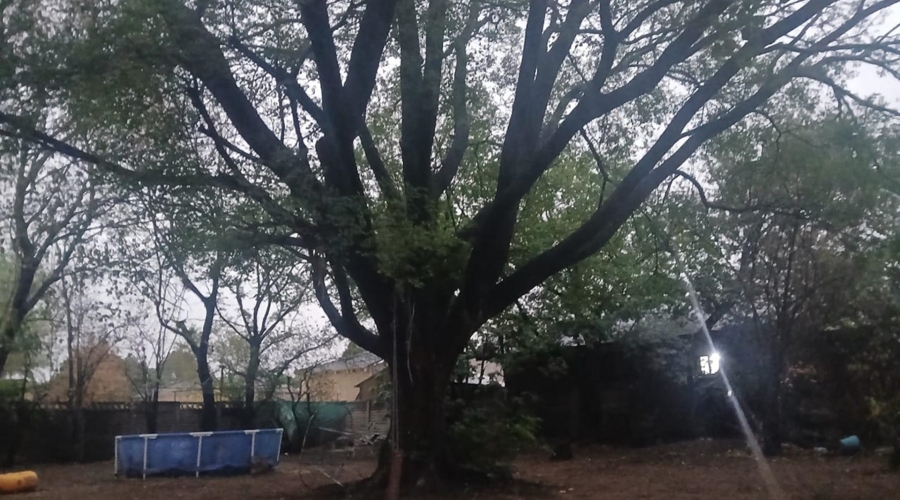 4 Bedroom Property for Sale in Sasolburg Free State